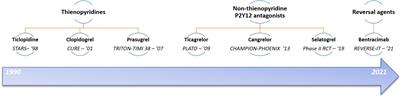 P2Y12 Antagonists in Cardiovascular Disease—Finding the Best Balance Between Preventing Ischemic Events and Causing Bleeding